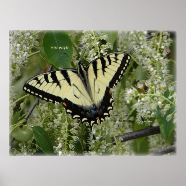 Poster SIGH_ets_loa_P5140161g (Devant)