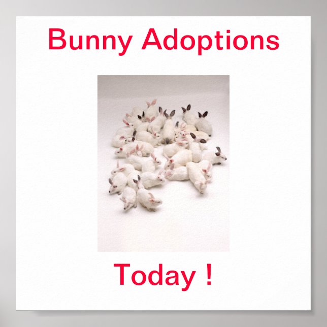 Poster Signature de l'adoption du lapin aujourd'hui (Devant)