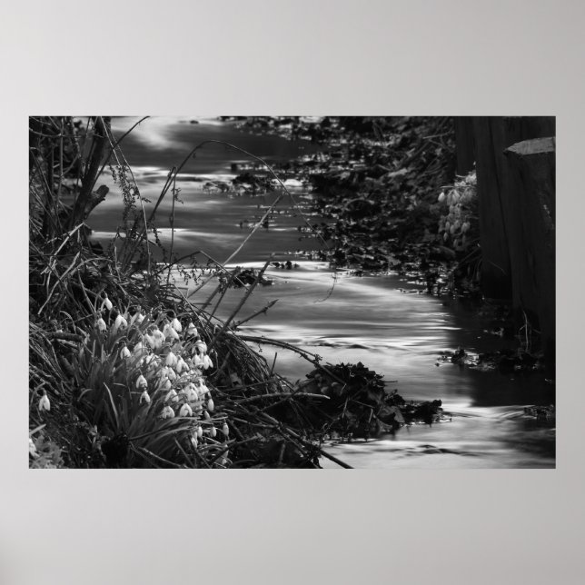 Poster Silent creek (Devant)