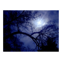 Poster Silhouette Arbre Taille Mur