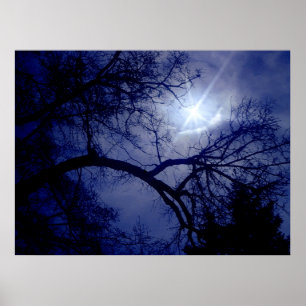 Poster Silhouette Arbre Taille Mur