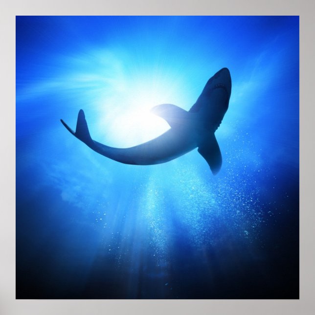 Poster Silhouette de requin de l'océan profond (Devant)