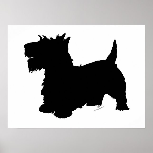 Poster Silhouette de Terrier Écossais (Devant)