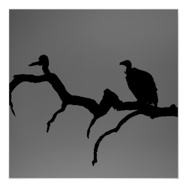 Poster Silhouette vautour (Devant)