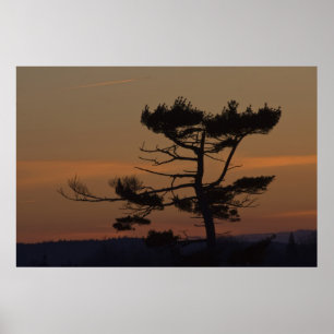 Poster Silhouettes At Dusk fine art print
