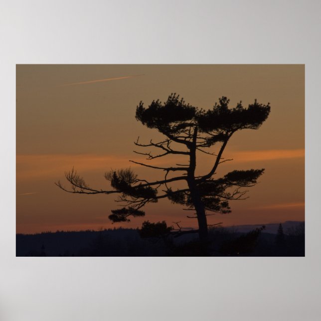 Poster Silhouettes At Dusk fine art print (Devant)
