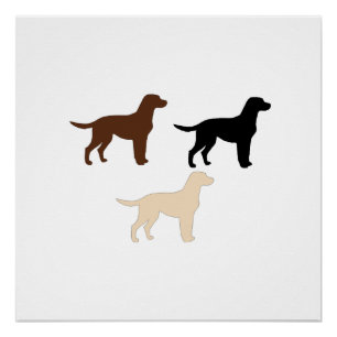 Poster silhouettes de couleur de récupération de labrador