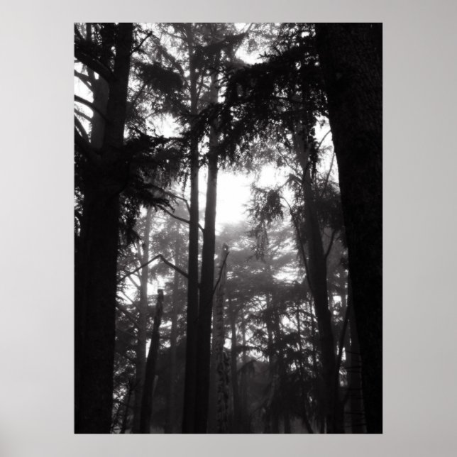 Poster - Silver Silence (Devant)