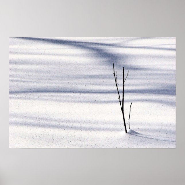 Poster Simplicité (Devant)