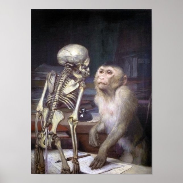 Poster Singe Avant Squelette (Devant)