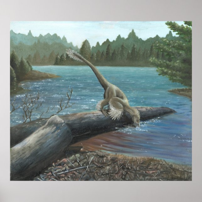 Poster Sinornithosaure Imprimer (Devant)