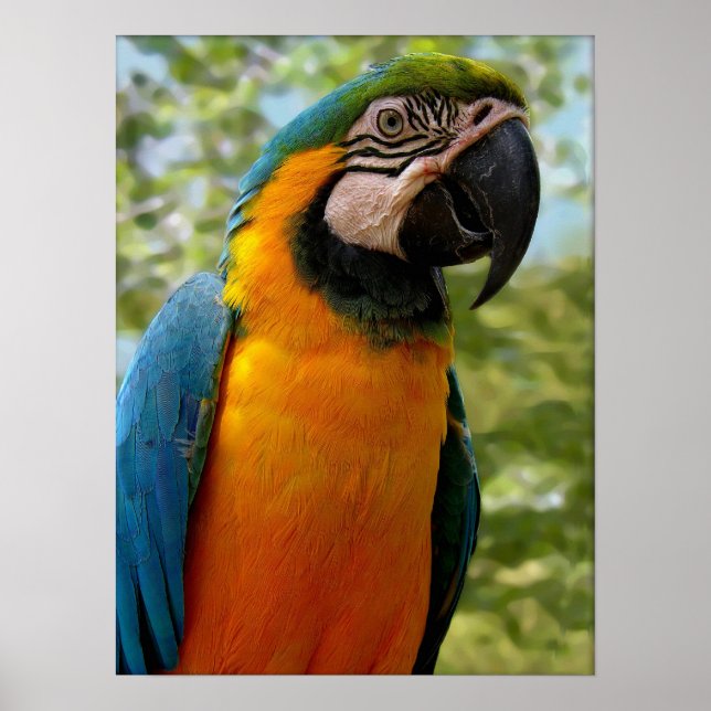 Poster Sitting For You (Devant)