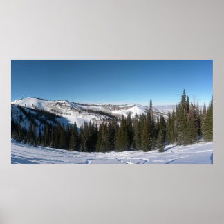 Poster Ski Arbre