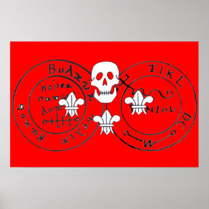 POSTER SKULET ET FLEUR DE LISE / PIRATES CARTES DE TRÉSOR