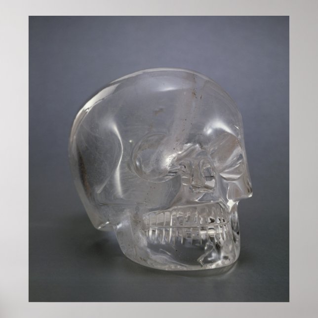 Poster Skull (Devant)