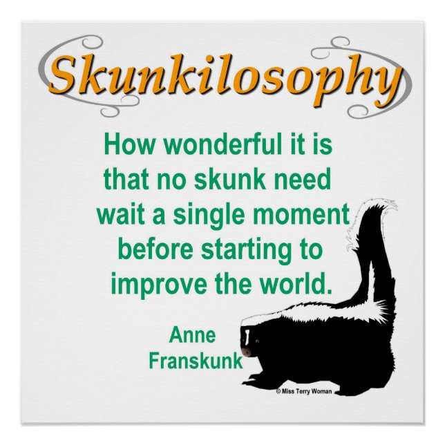 Poster Skunkilosophy : Améliorer le monde (Devant)