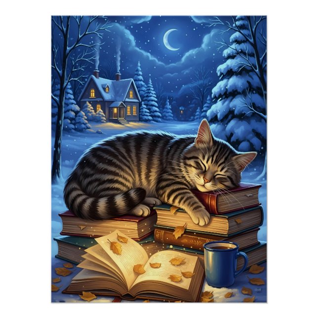 Poster Sleeping Cat on Books Winter Night (Devant)