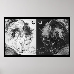 Poster Sleeping Lions: Yin & Yang