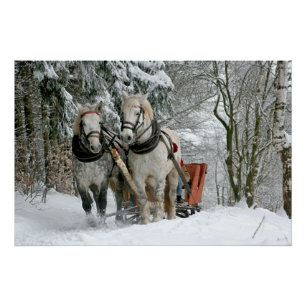 Poster Sleigh Ride in Winter Wonderland