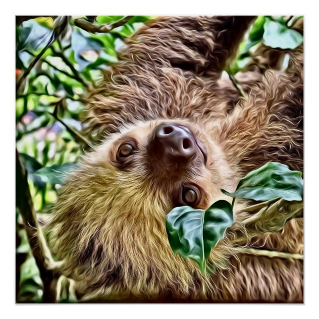 Poster Sloth peint (Devant)