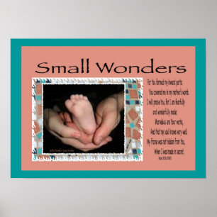 Poster Small Wonders