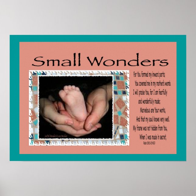 Poster Small Wonders (Devant)