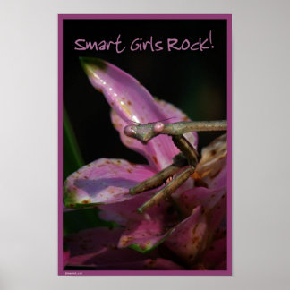 Poster Smart Girls