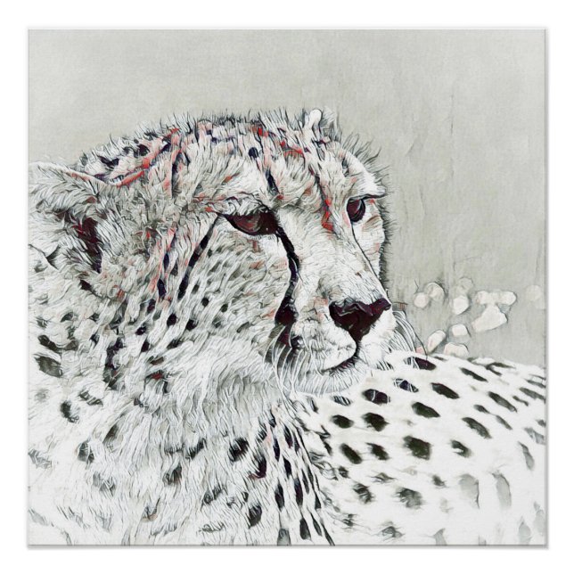 Poster smartmix animal - guépard (Devant)