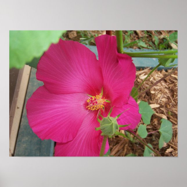 Poster Smitty's Flower One (Devant)