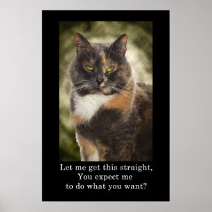 Poster Smug Kitty - Faites Ce Que Vous Voulez?