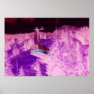 Poster Snowbird Dream