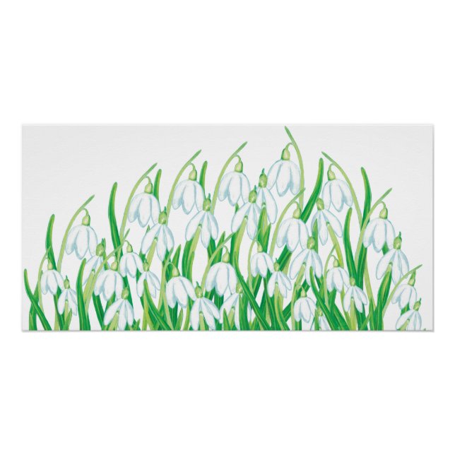 Poster Snowdrops de printemps (Devant)