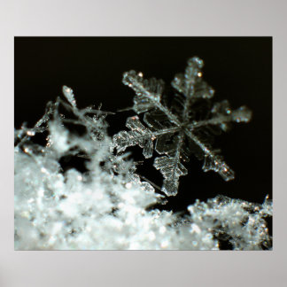 Poster Snowflake 2009 Blizzard