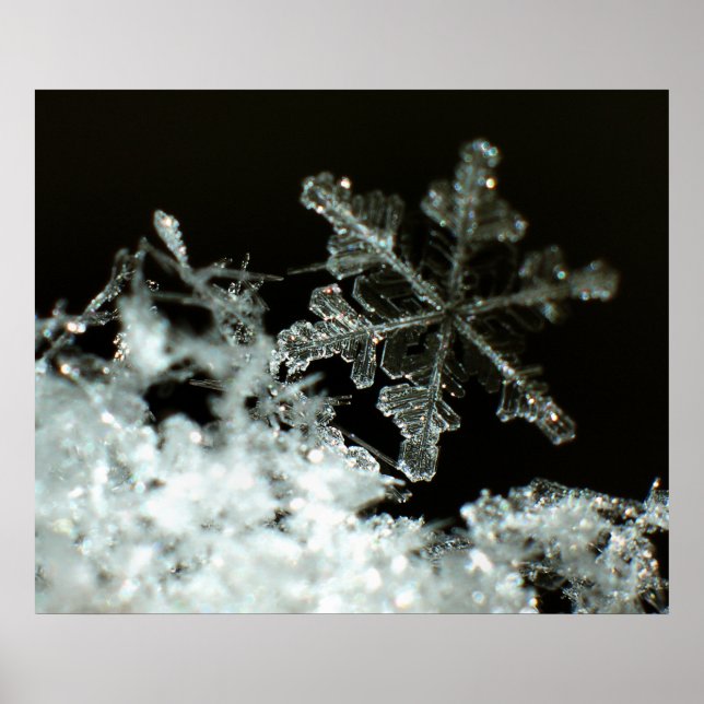 Poster Snowflake 2009 Blizzard (Devant)