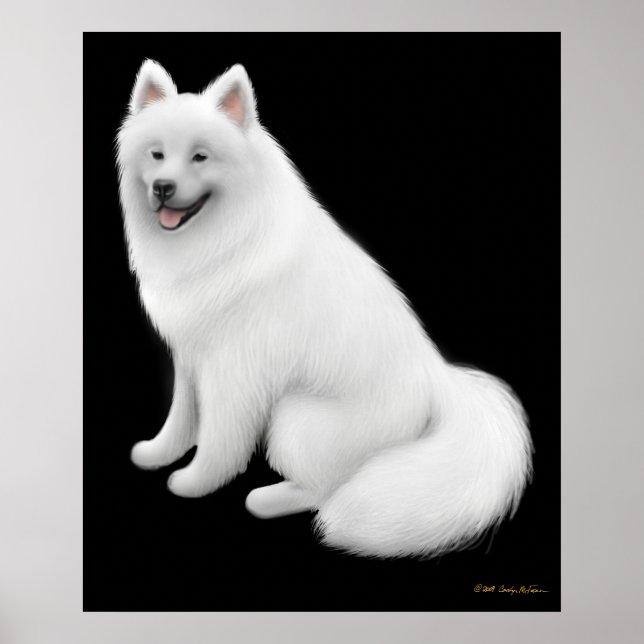 Poster Snowy Samoyed Chien Imprimer (Devant)