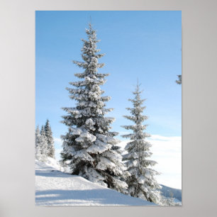 Poster Snowy Winter Scene with Christmas Trees