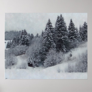 Poster Snowy Woods