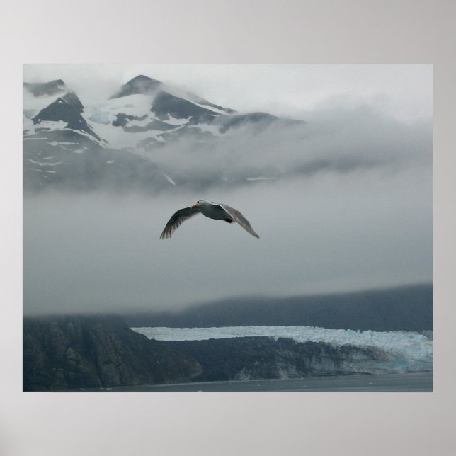 Poster Soar Among The Clouds (Devant)