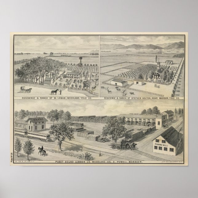 Poster Société du bois (Devant)