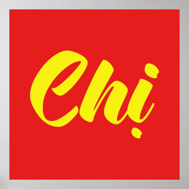 Poster Soeur Vietnamienne - Chi ~ Tien ng Viêt (Devant)