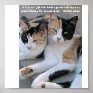 Poster Soeurs