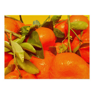 Poster Soft Orange Fruit Aesthétique