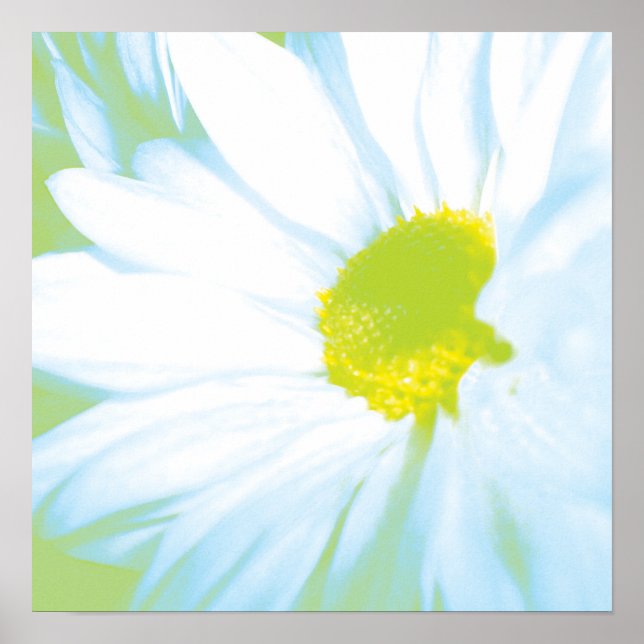 Poster Soft White Flower Print (Devant)