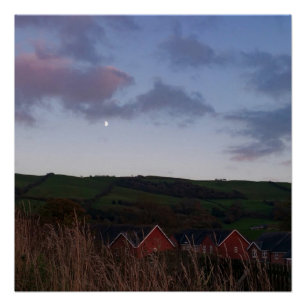 Poster Soirée paisible à Newtown