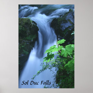 Poster : Sol Duc Falls