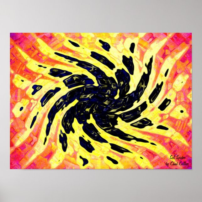 Poster Sol Spider (Devant)