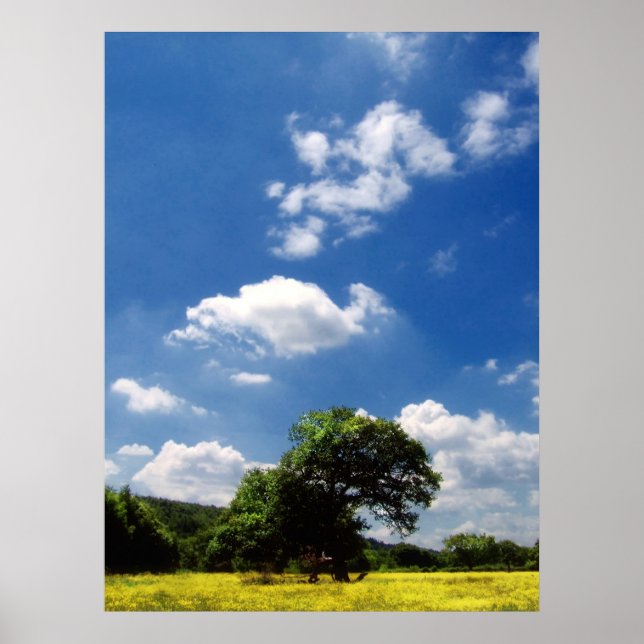 Poster Soleil (Devant)