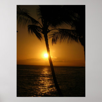 Poster Soleil dans les arbres, descente