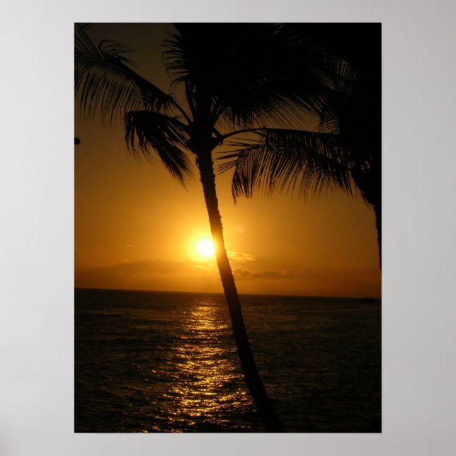 Poster Soleil dans les arbres, descente (Devant)
