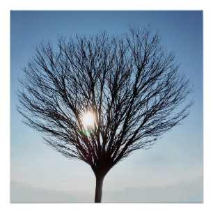 Poster soleil d'hiver